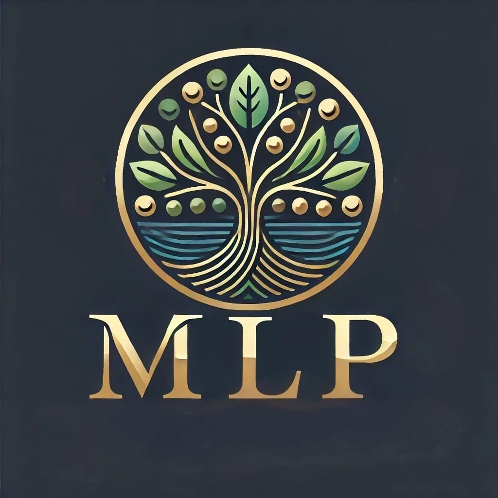 MLP CONCEPT